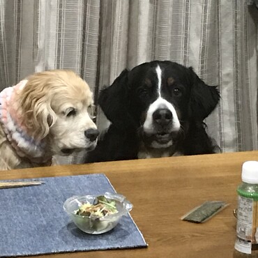 の写真