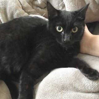 真っ黒穏やか男子よりいちさん