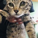 ビビリの甘えん坊男子かんすけ