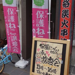 保護にゃん達の幸せ譲渡会in大和高田市 サムネイル2