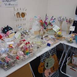 保護にゃん達の幸せ譲渡会in大和高田市 サムネイル3