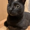 ぽんきっち