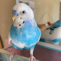 ソラ