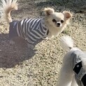 家族ができました！