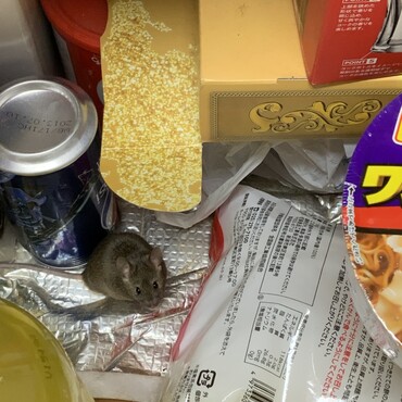 あっ！！見つかっちゃた。