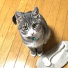 5ヶ月で3キロ 大きくなりました♡