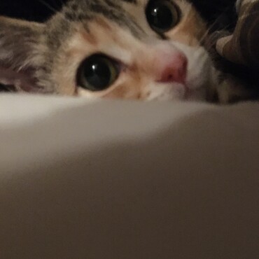 の写真