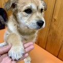 コロコロ可愛いい男の子❣️