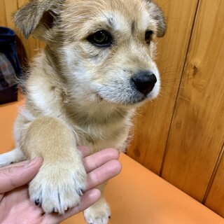 コロコロ可愛いい男の子❣️