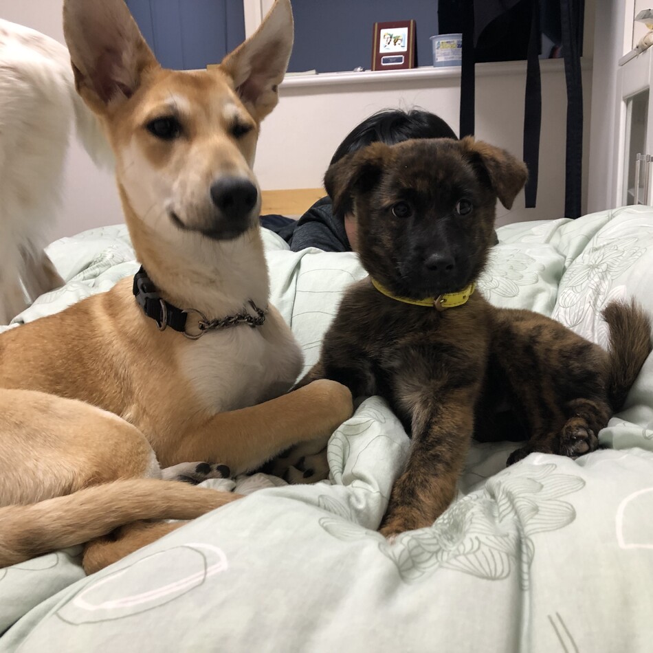 那由多のカバー写真