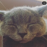 かぼす
