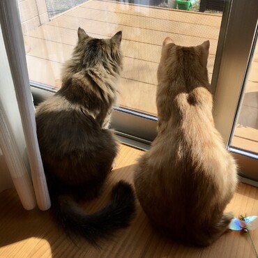の写真