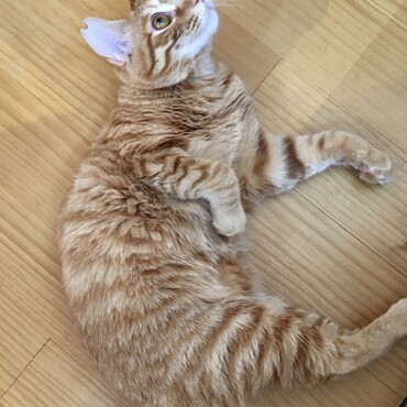 の写真