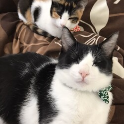 「小さかったのに　あっという間にお年頃」サムネイル2