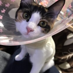 「小さかったのに　あっという間にお年頃」サムネイル3