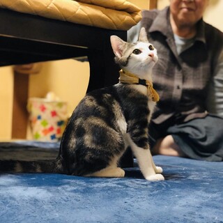 オシャレなイケメン君【4ヶ月半】