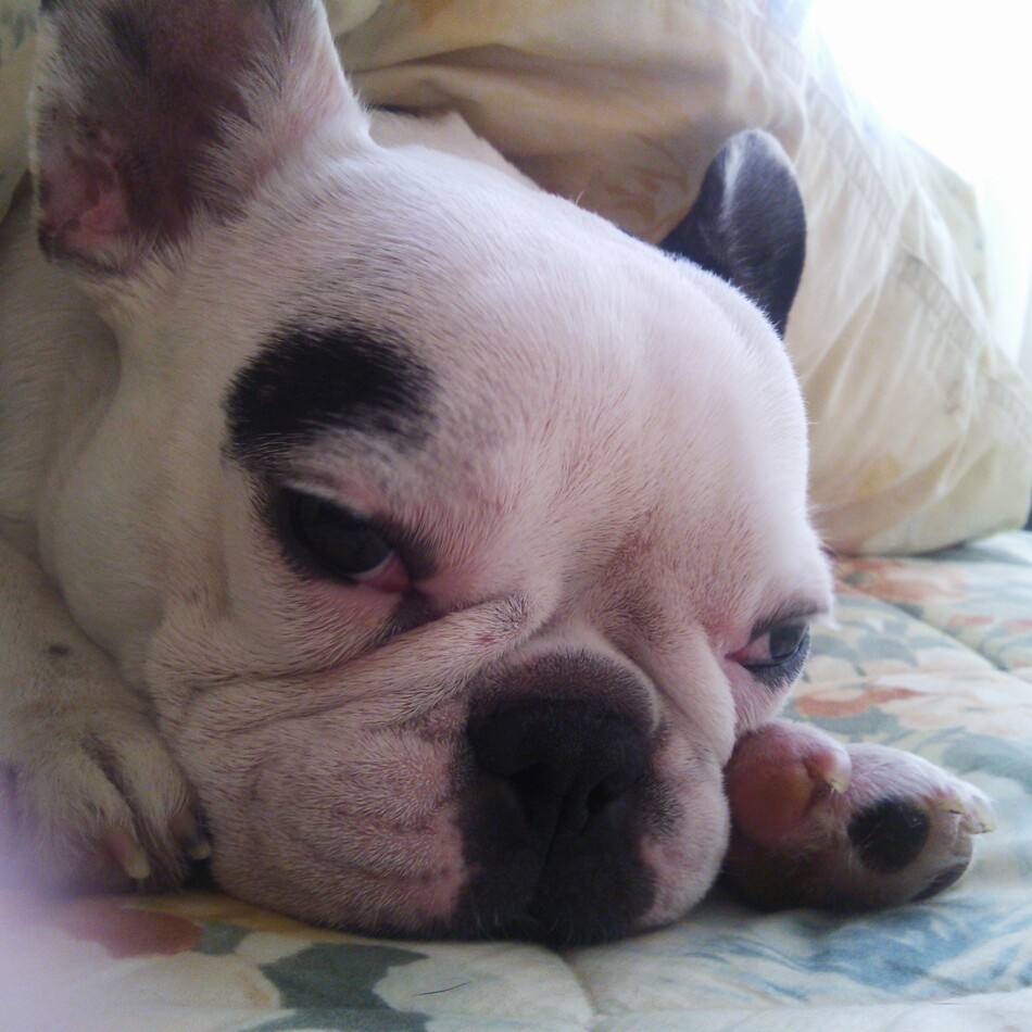 姫のカバー写真