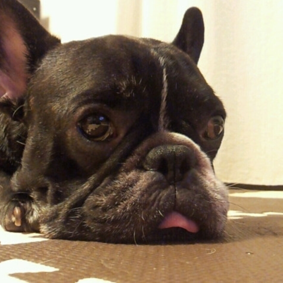 たろおのカバー写真