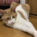 大きいソラくん