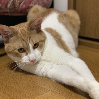 大きいソラくん