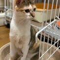 お姫様気質なサニーちゃん