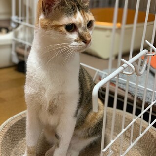 お姫様気質なサニーちゃん