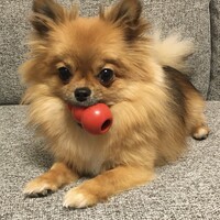 にこ