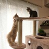 の写真