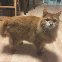 加藤　ソラ