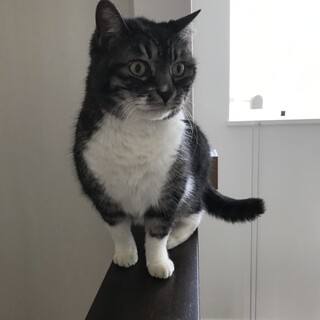 良いご縁がありますように。