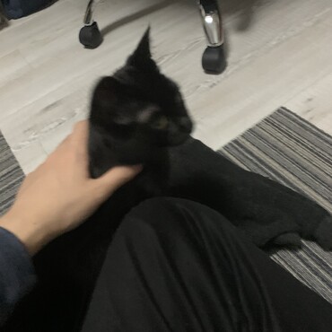 の写真