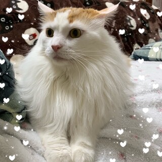 少しびびり屋さん♪涼月（すず）くん