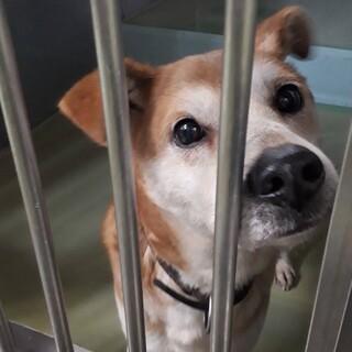 穏やかな朝陽君の家族になってください