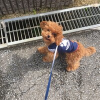 天