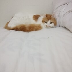 １ヶ月