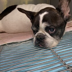 「入院生活2日目」サムネイル2