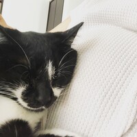 ぐり