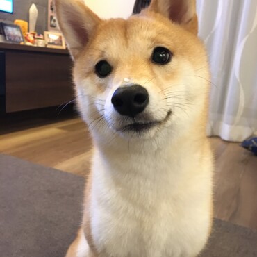 鼻の上にごはん粒ついてますよ〜