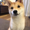 鼻の上にごはん粒ついてますよ〜