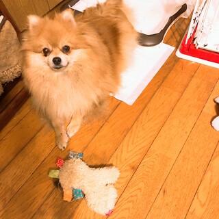 ご応募ありがとうございました。