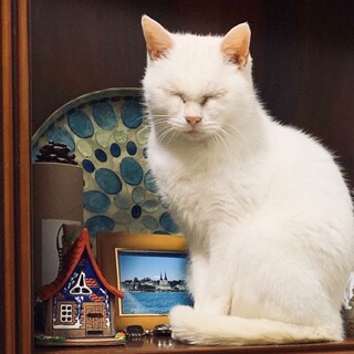 ママだった私にも優しい家族が出来ました‼️