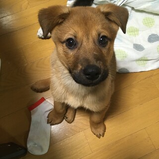 一旦募集停止　北斗です！よろしくお願いします！！
