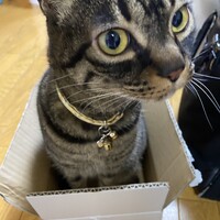 むん
