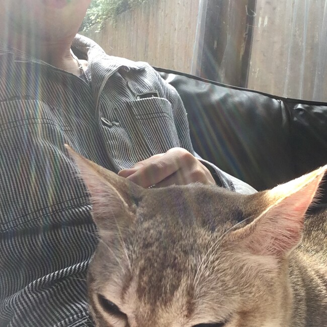 ハリードのカバー写真