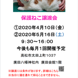保護猫譲渡会