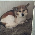 ありがとうございました。