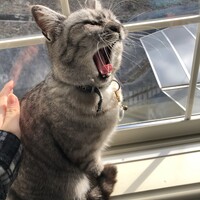 まそらちゃん
