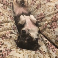メイ