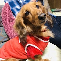 ヒメ