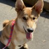 YUCHIKOさん